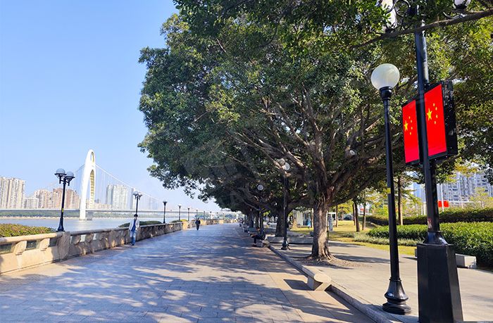 LED燈桿屏 LED燈桿屏