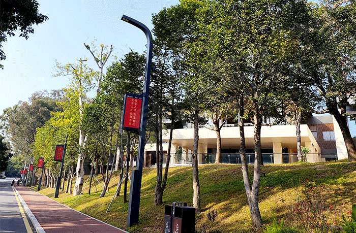 LED燈桿屏,燈桿屏 LED燈桿屏,燈桿屏