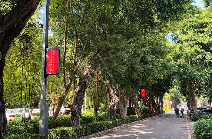 LED燈桿屏,燈桿屏 LED燈桿屏,燈桿屏