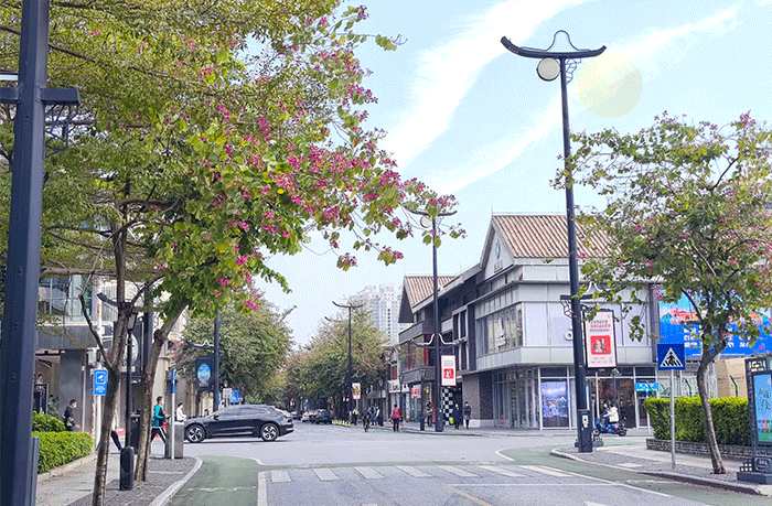 LED燈桿屏,燈桿屏 LED燈桿屏,燈桿屏