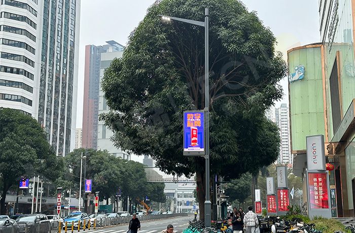 LED燈桿屏 LED燈桿屏