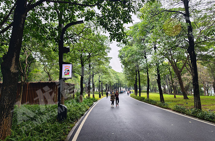 智慧燈桿,LED燈桿屏 智慧燈桿,LED燈桿屏