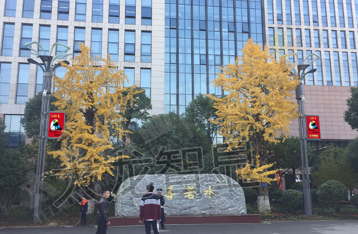led燈桿屏|智慧燈桿屏|led廣告機|智慧路燈屏|戶外LED廣告機|燈桿屏|智慧燈桿|智慧路燈